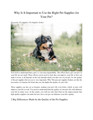 Why Is It Important to Use the Right Pet Supplies for Your Pet?