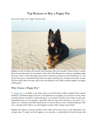 Top Reasons to Buy a Puppy Pen