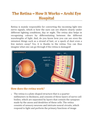 The Retina – How It Works - Arohi Eye Hospital