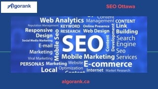 SEO Ottawa