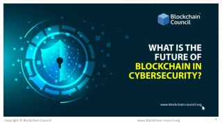 What is the future of Blockchain in cybersecurity?