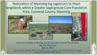 American Society of Mining and Reclamation Annual Conference, Big Sky, Montana June 6, 2019