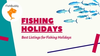Fishing Spots in the UK - Best Listings for Fishing Holidays