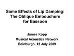 Some Effects of Lip Damping: The Oblique Embouchure for Bassoon