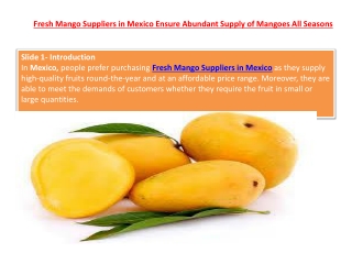 Fresh Mango Suppliers in Mexico Ensure Abundant Supply of Mangoes All Seasons