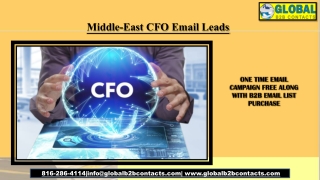 Middle-East CFO Email Leads