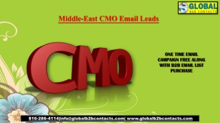 Middle-East CMO Email Leads