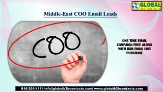 Middle-East COO Email Leads