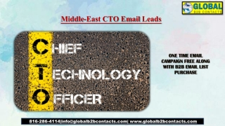 Middle-East CTO Email Leads