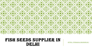 Fish Seeds supplier in Delhi