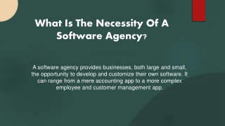What Is The Necessity Of A Software Agency?