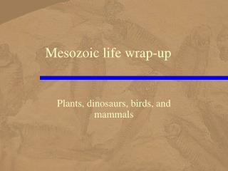 Mesozoic life wrap-up