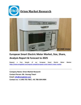 European Smart Electric Meter Market Growth, Size, Share, Industry Report and Forecast 2019-2025