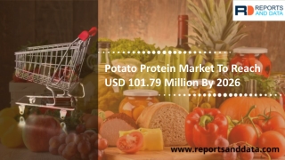 Potato Protein Market is anticipated to show growth by 2026