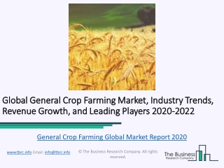 General Crop Farming Market Overview, Growth Opportunities And Forecast To 2022