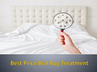 Best bed bug exterminator company in Chicago