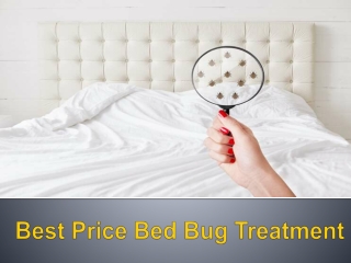 Pocket friendly bed bug treatment price