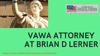 Online best vawa attorney at Brian D Lerner