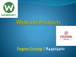 Webroot Products | 844-513-4111 | Fegon Group