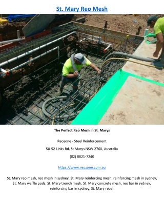 St. Mary reo mesh