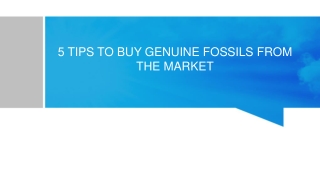 BUY GENUINE FOSSILS