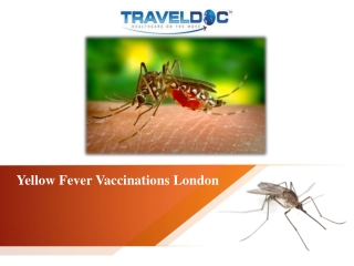 Yellow Fever Vaccinations London