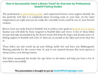 How to Successfully Catch a Brown Trout? An Overview by Professional Seadrift Fishing Guides