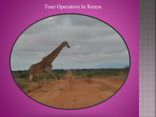 Tour Operators in Kenya