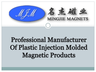 Professional Injection Neodymium Magnet Supplier in China