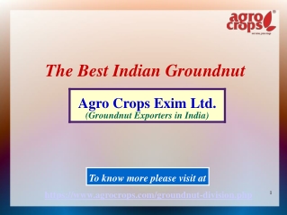 The Best Indian Groundnut
