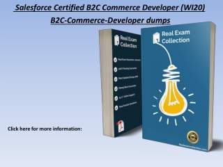 2020 Updated Salesforce B2C-Commerce-Developer Exam Dumps