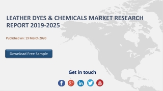 Leather Dyes & Chemicals Market Research Report 2019-2025