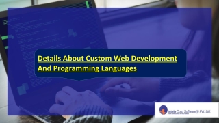 Details About Custom Web Development And Programming Languages