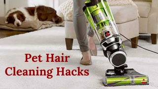 Pet Hair Cleaning Hacks