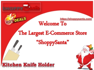 Buy Kitchen Knife Holder Online at ShoppySanta