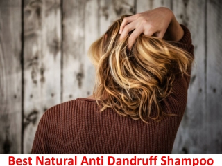Best Natural Anti Dandruff Shampoo