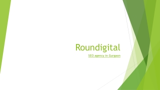 Roundigital-social media marketing services in Delhi