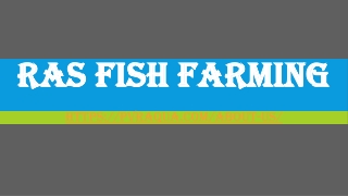 RAS Fish Farming