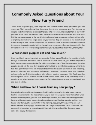 Commonly Asked Questions about Your New Furry Friend