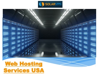 Web Hosting Services USA