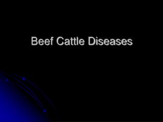 Beef Cattle Diseases
