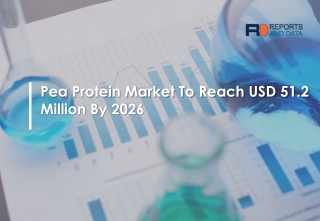 Pea Protein Market to Witness Steady Expansion During 2020 to 2026