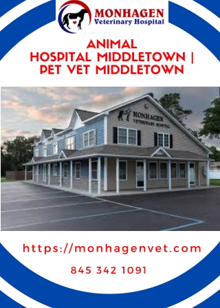 Middletown Vet | Pet Veterinary Services | Animal Hospital at Middletown