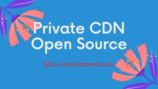 Private CDN Open Source Options