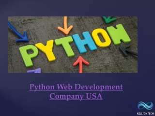 Python Web Development Company USA