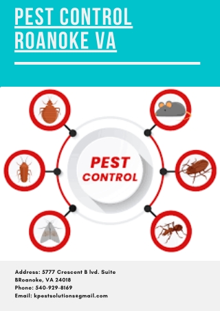 Pest Control Roanoke VA | Killinger Pest Solutions