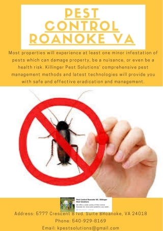 Pest Control Roanoke VA | Killinger Pest Solutions