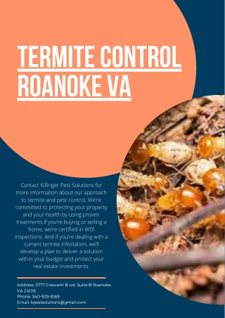 Termite Control Roanoke VA | Killinger Pest Solutions