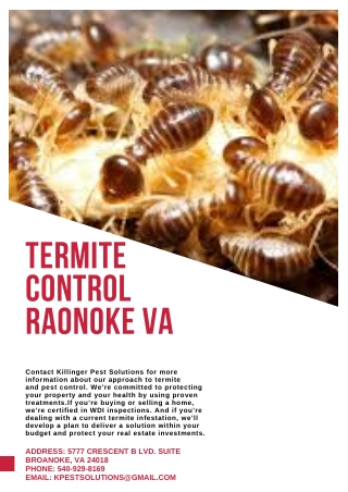 Termite Control Roanoke VA | Killinger Pest Solutions