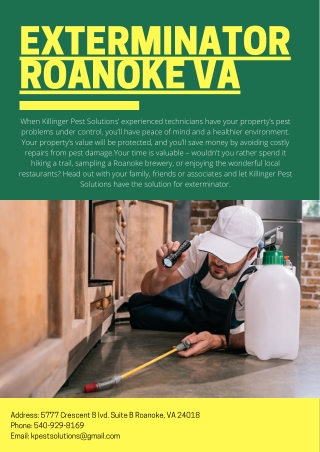 Exterminator Roanoke VA | Killinger Pest Solutions